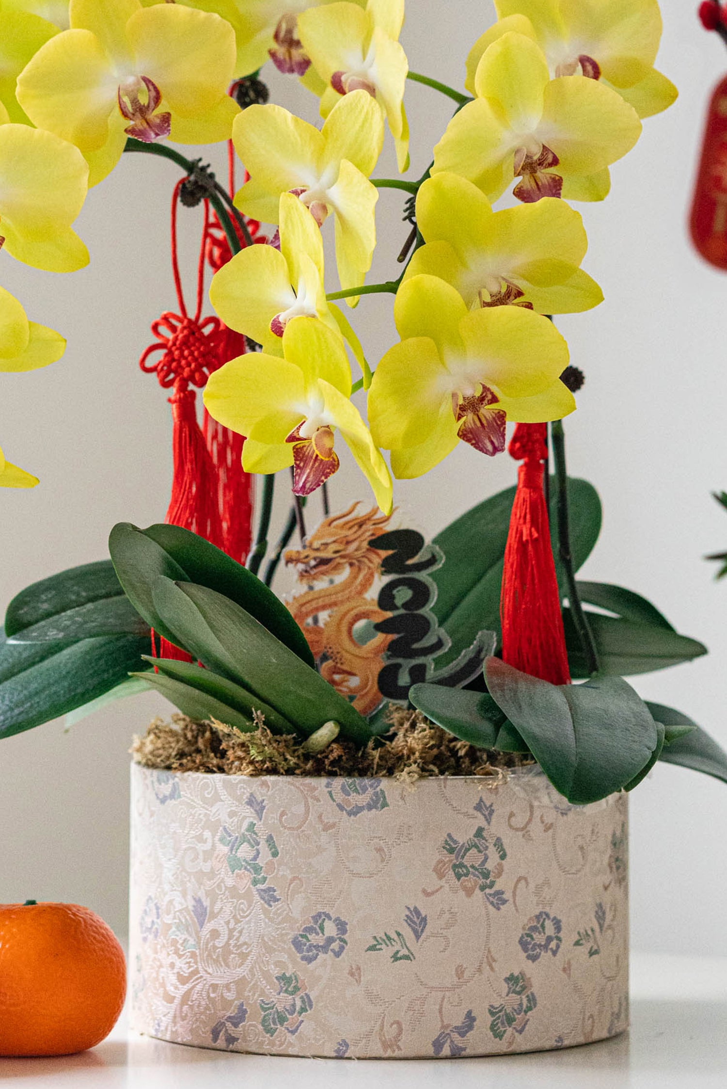 Golden Blessings - Fresh Orchids Phalaenopsis